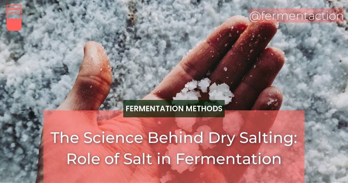 Salt Fermentation The Science Behind Dry Salting: Role of Salt in Fermentation ...
