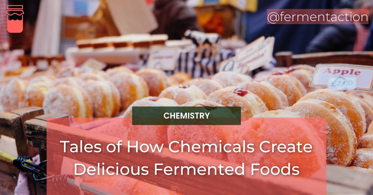Tales of How Chemicals Create Delicious Fermented Foods - Fermentaction